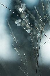 TRPG新作《Baladins》登陆Steam 稍后登陆主机平台