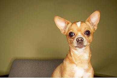 鹰角买断制手游《来自星尘》发售PV 27号凌晨解锁